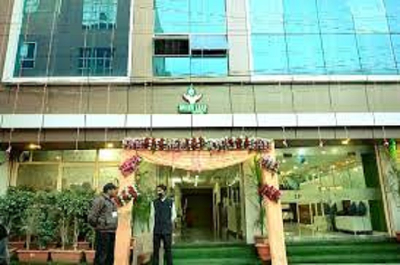 NSN Green Leaf By Omatra